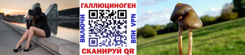 Псилоцибиновые грибы Magic Shrooms  Муром 