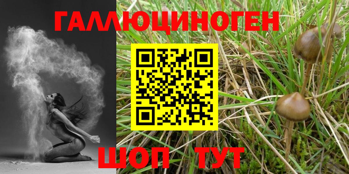 Галлюциногенные грибы Psilocybe  Псилоцибиновые грибы GOLDEN TEACHER  хочу   Муром  Вход с VPN 